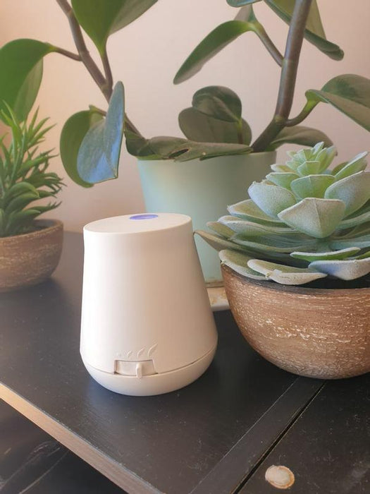Air Wick Essential Mist Diffuser Peace Lavender Eucalyptus & Sage Fragrance