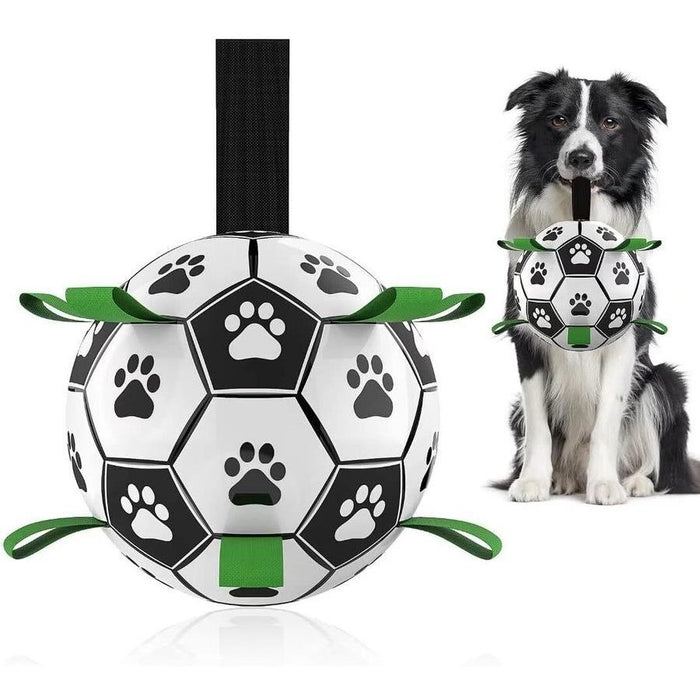 Dog Interactive Soccer Ball
