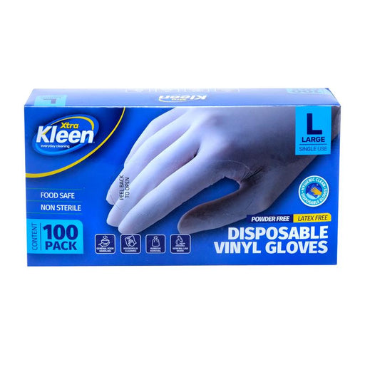 Gloves Disposable 100Pk - Large