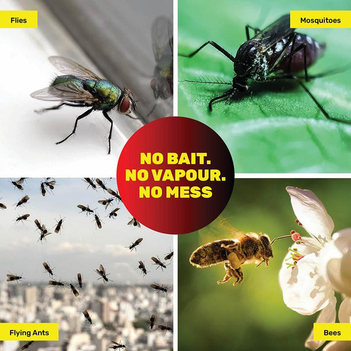 LIMIT 4 PER ORDER - Hanging Fly Catchers 4PK