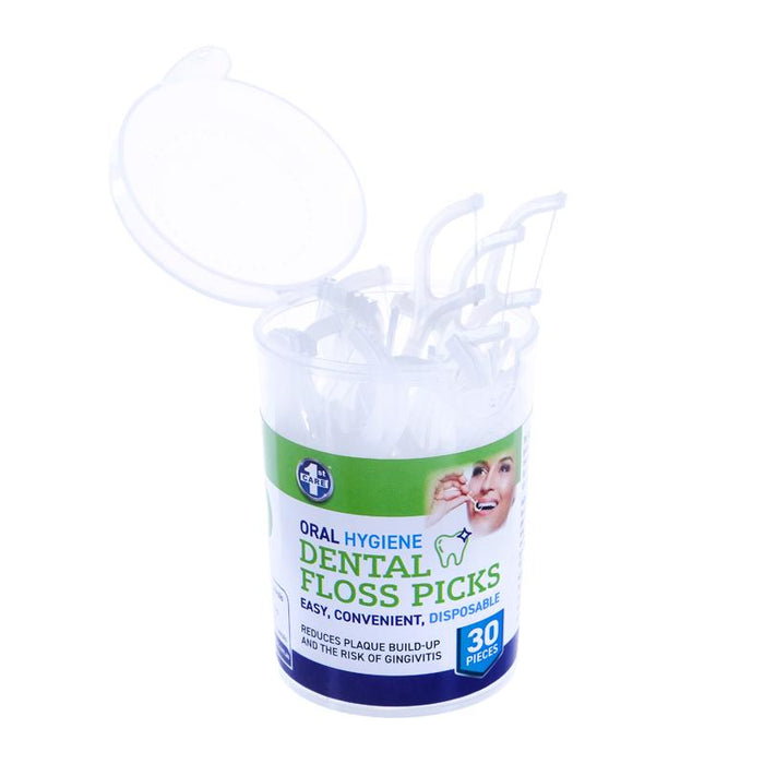 Dental Floss Picks 2 PK