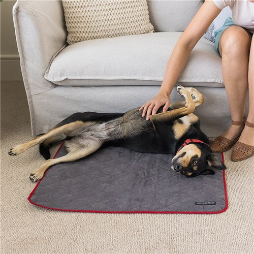 Self Warming Pet Blanket Grey 80X60CM
