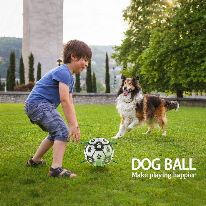 Dog Interactive Soccer Ball