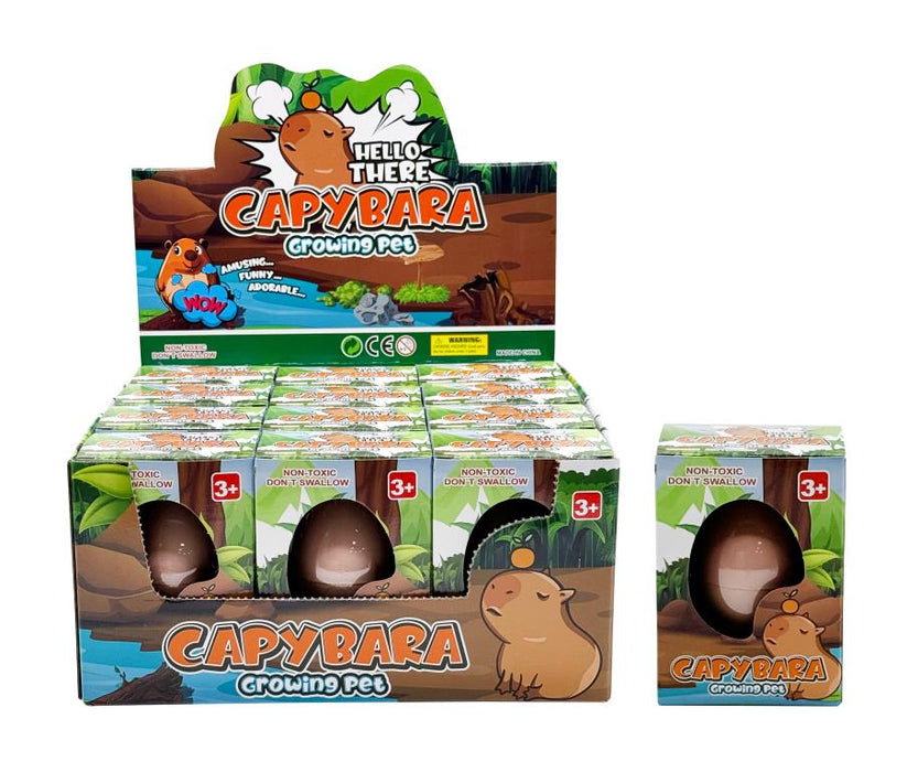 Capybara Growing Pet