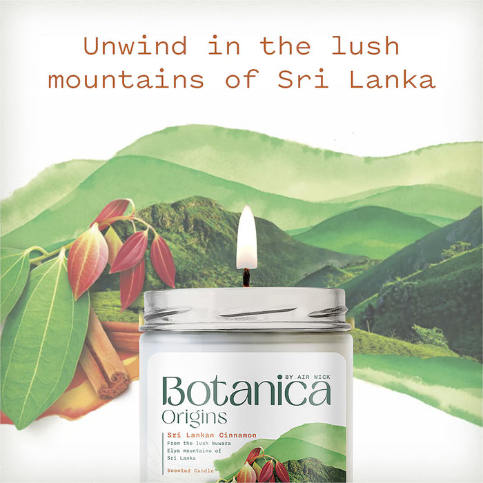Air Wick Candle Botanica Origins Sri Lankan Cinnamon