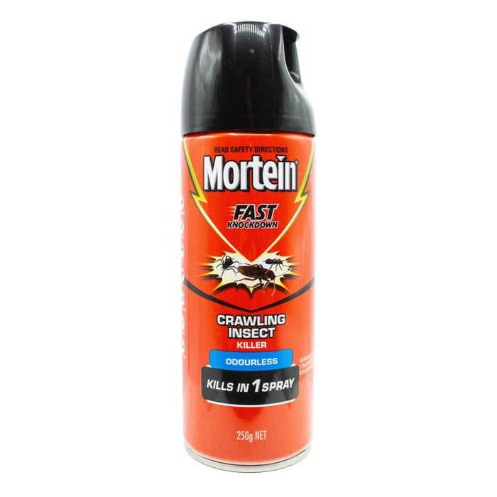 Mortein Fast Knock Down In 1 Spray Odourless 250g