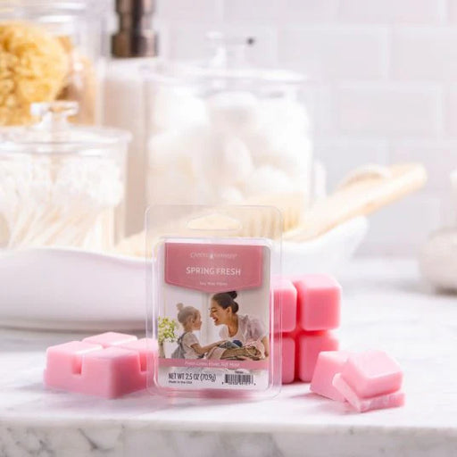 Scented Wax Melts Spring Fresh
