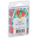 Scented Wax Melts Summer Watermelon