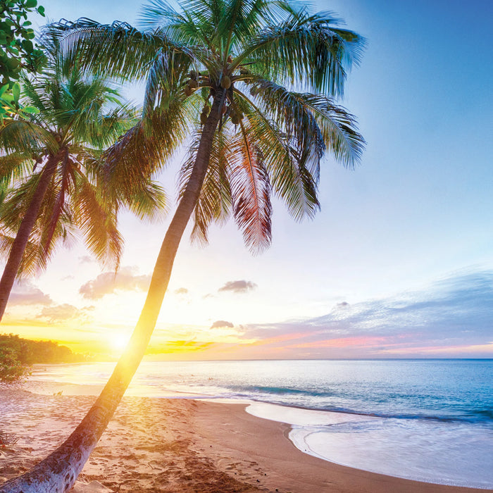 Scented Wax Melts Bahama Beach