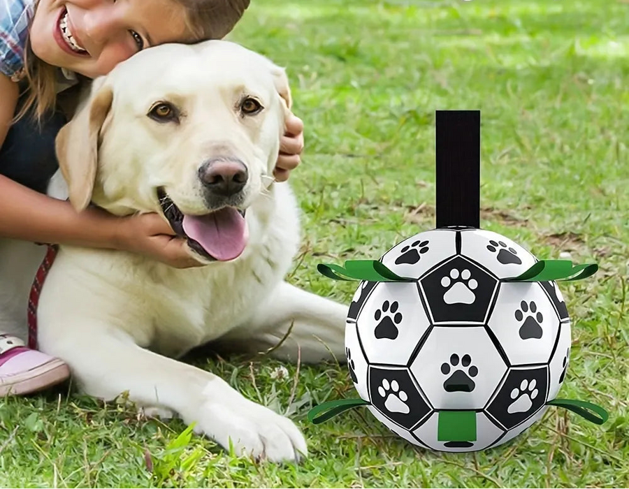 Dog Interactive Soccer Ball