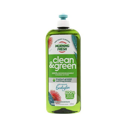 Morning Fresh Clean & Green Dishwashing Liquid 650ml Eucalyptus